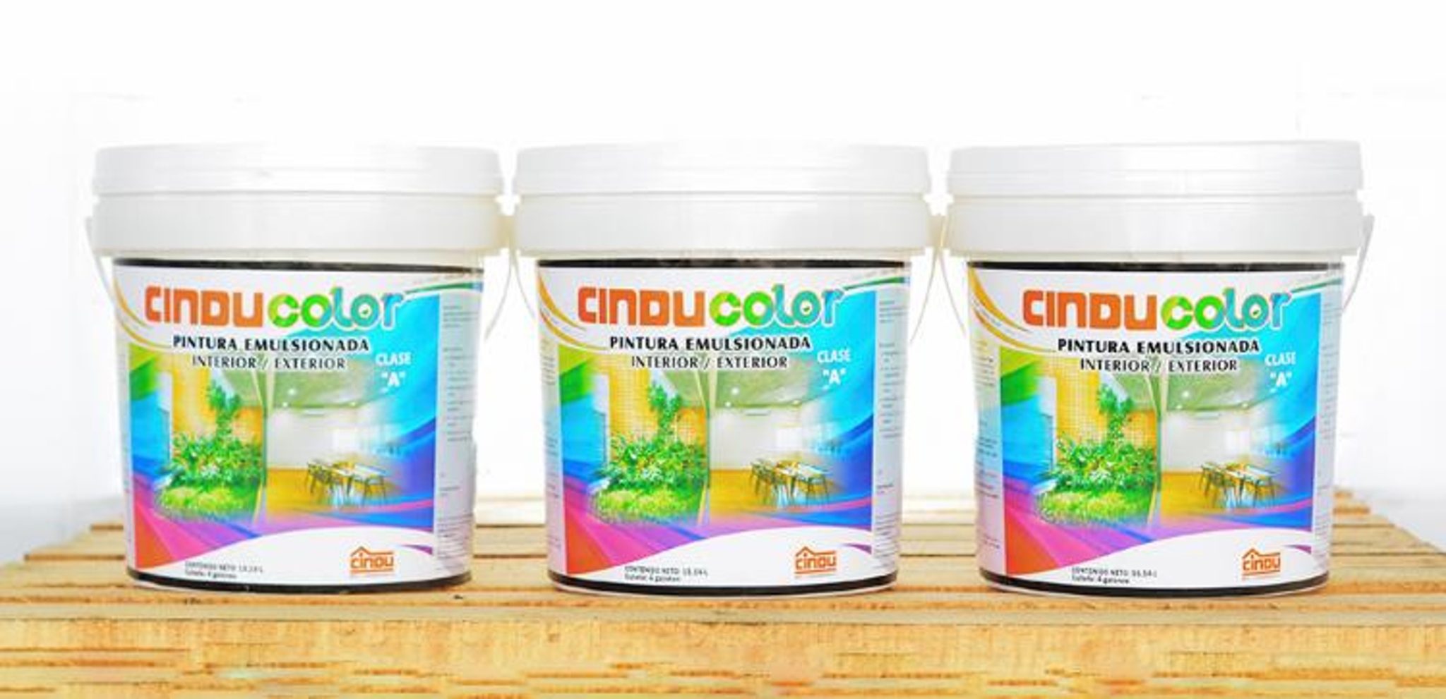 CINDU – CINDU Venezuela tiene la misión de brindar a sus clientes ...